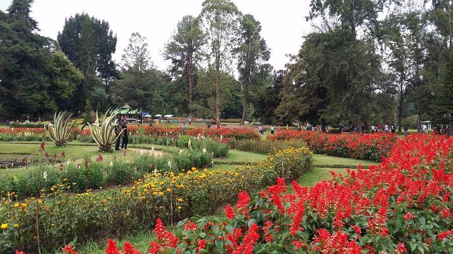 Victoria Park - Nuwara Eliya: The Alpine Garden